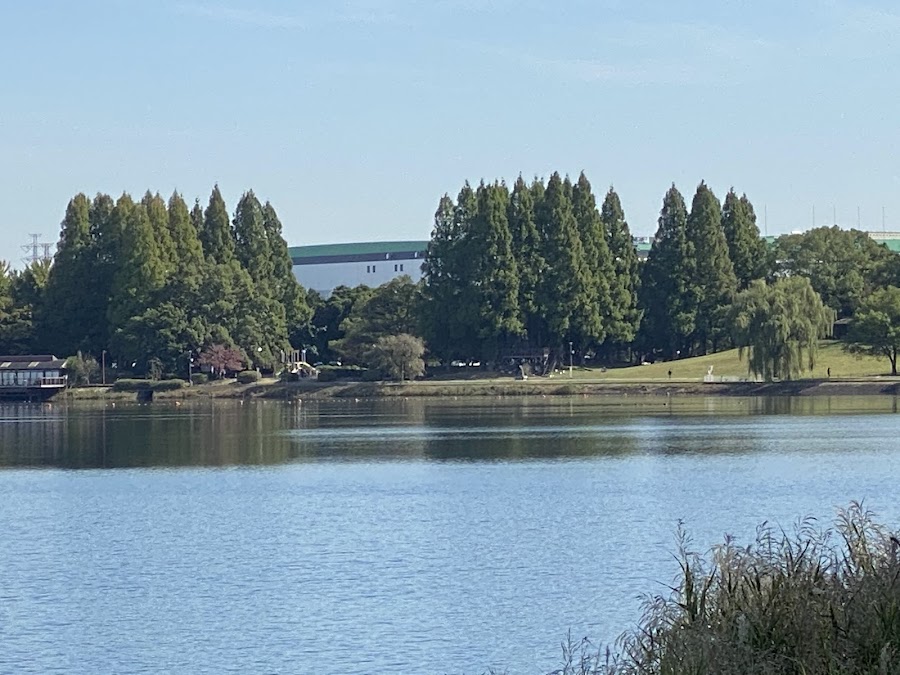 久喜菖蒲公園の写真