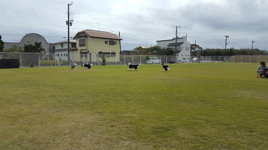 エルエードッグスポーツフィールド（LA DOG SPORTS FIELD / LADF）の写真