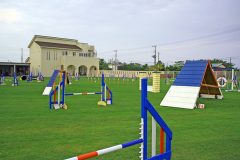 エルエードッグスポーツフィールド（LA DOG SPORTS FIELD / LADF）の写真
