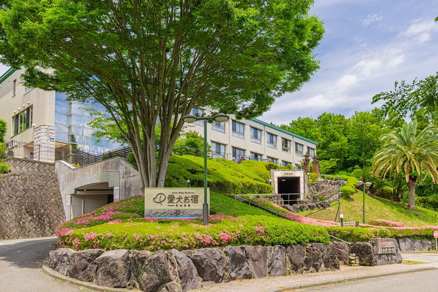 Love Dog Resorts 愛犬お宿 伊豆高原の写真