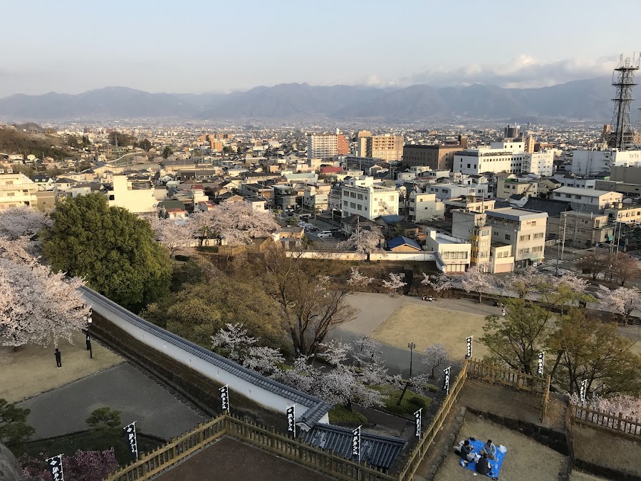 舞鶴城公園の写真