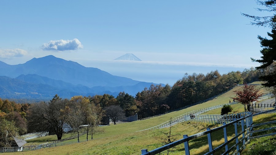 県立まきば公園の写真