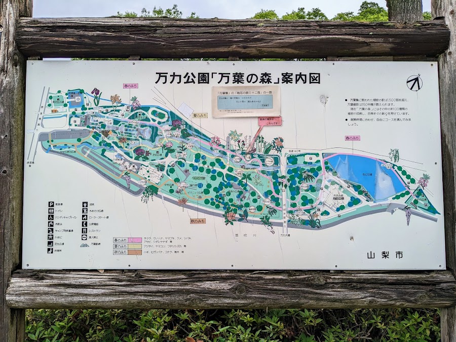 万力公園(万葉の森)の写真
