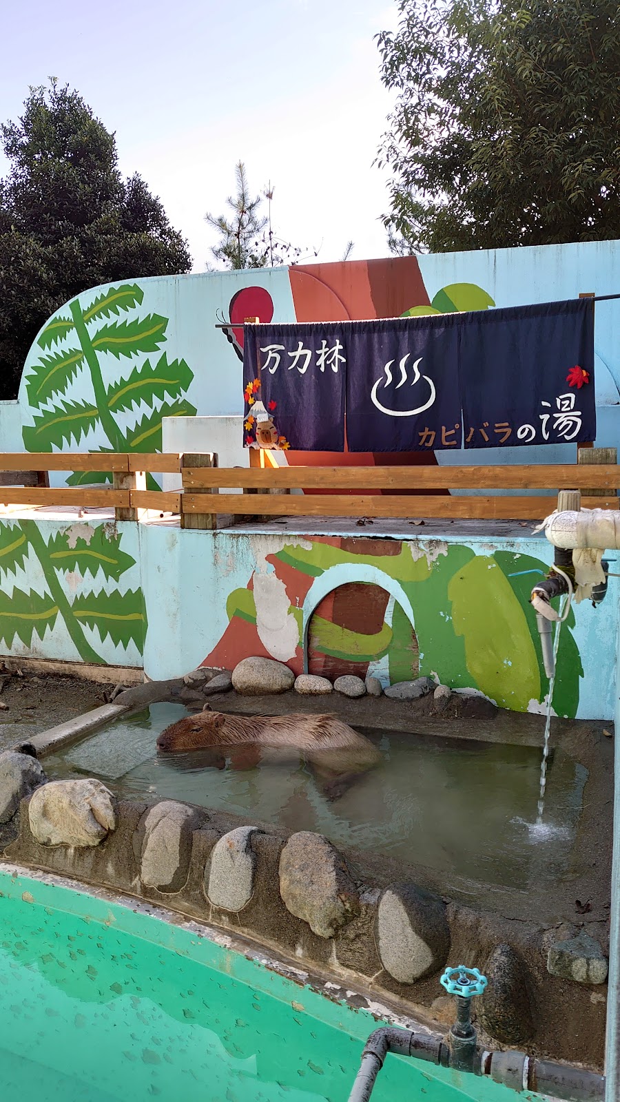 万力公園(万葉の森)の写真