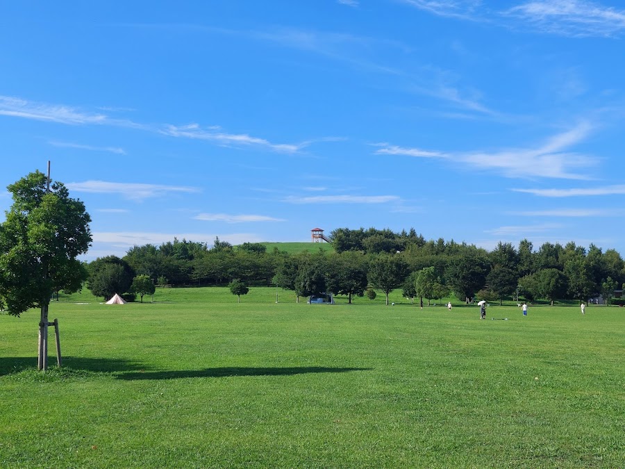 まつぶし緑の丘公園（まつぶし緑の丘マルシンパーク）の写真