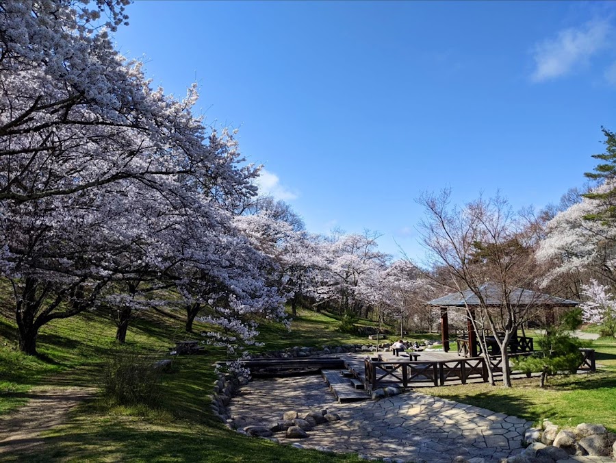高原の公園