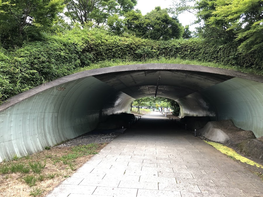みちまる広場（EXPASA足柄）の写真