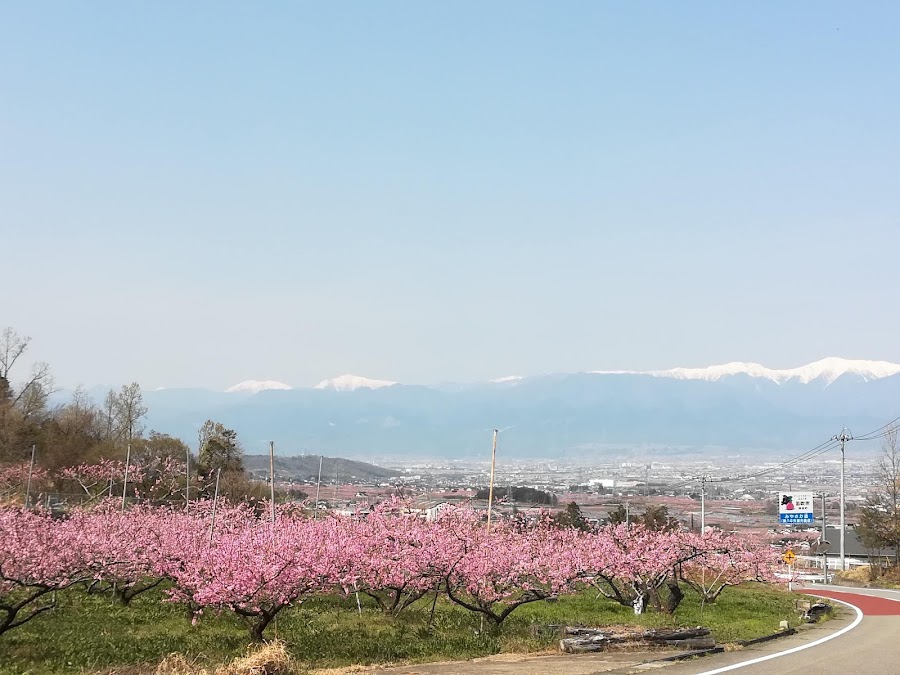 みさか桃源郷公園の写真