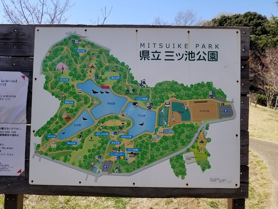 県立三ツ池公園の写真
