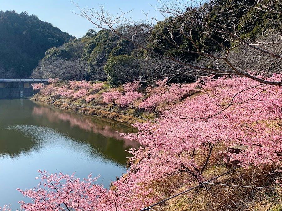 都田総合公園の写真