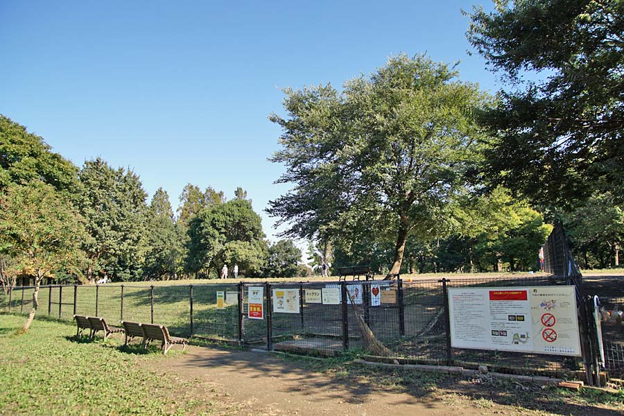 水元公園ドッグランの写真