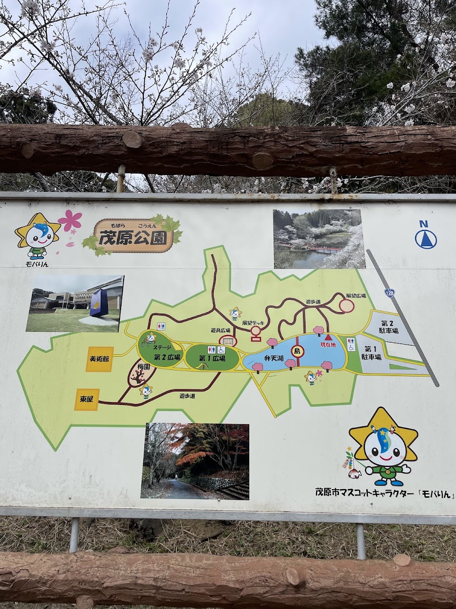 茂原公園の写真