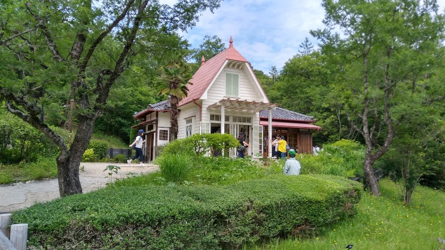 緑の広がる公園