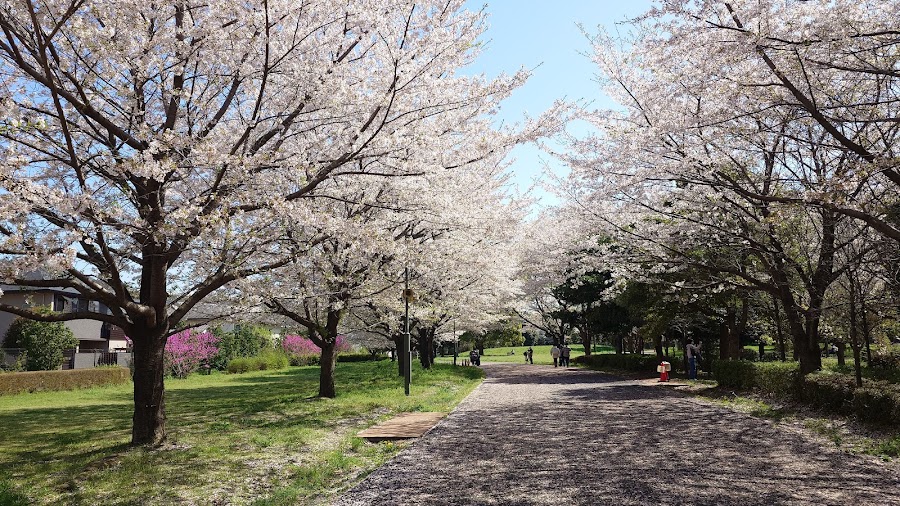 武蔵野の森公園の写真