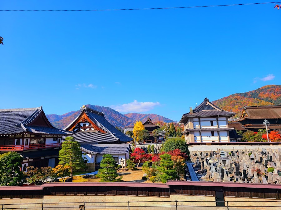 城山公園の写真