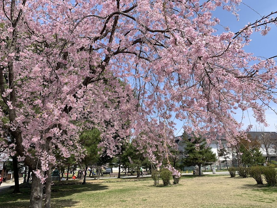 真田公園の写真