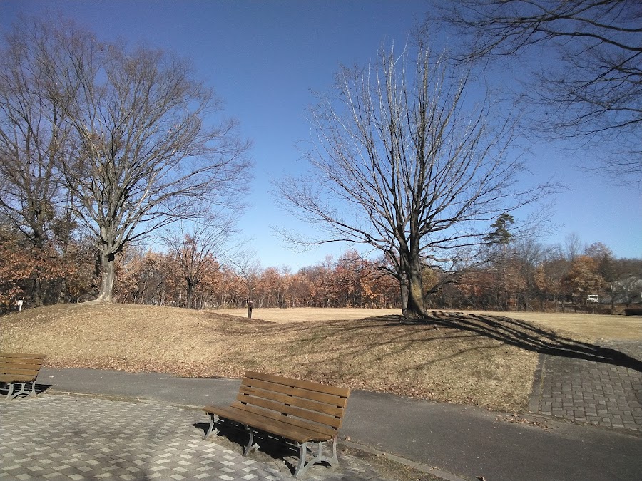 昭和の森公園の写真