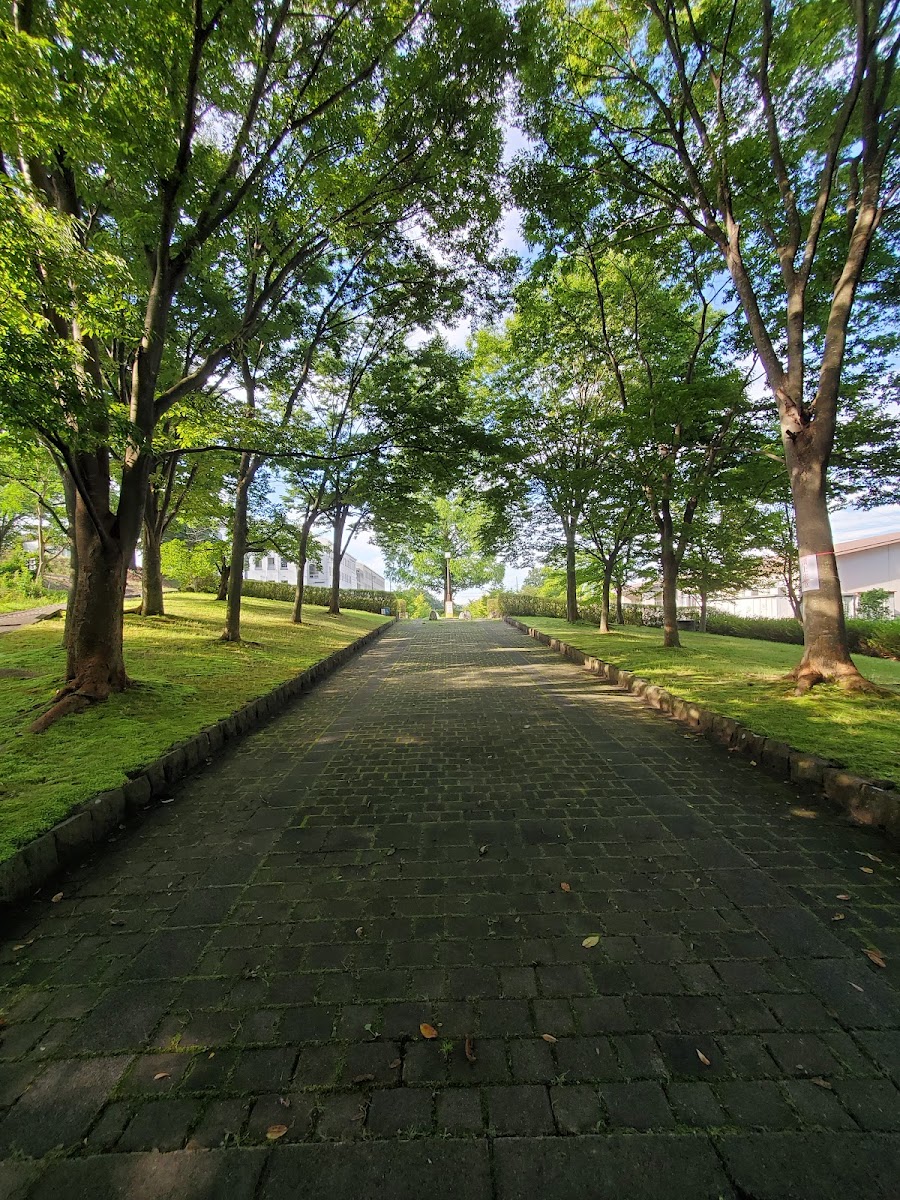 昭和の森公園の写真