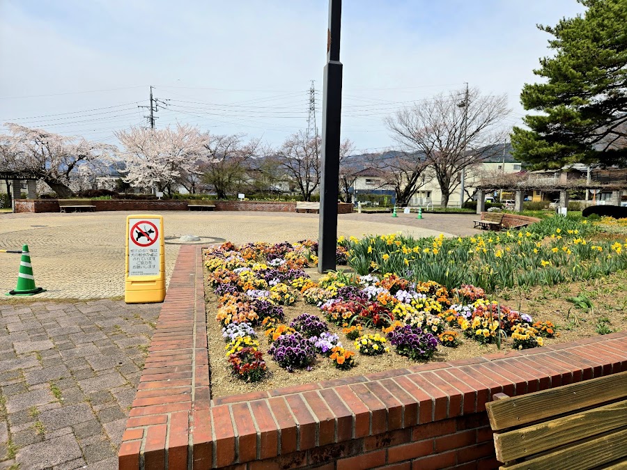 昭和の森公園の写真