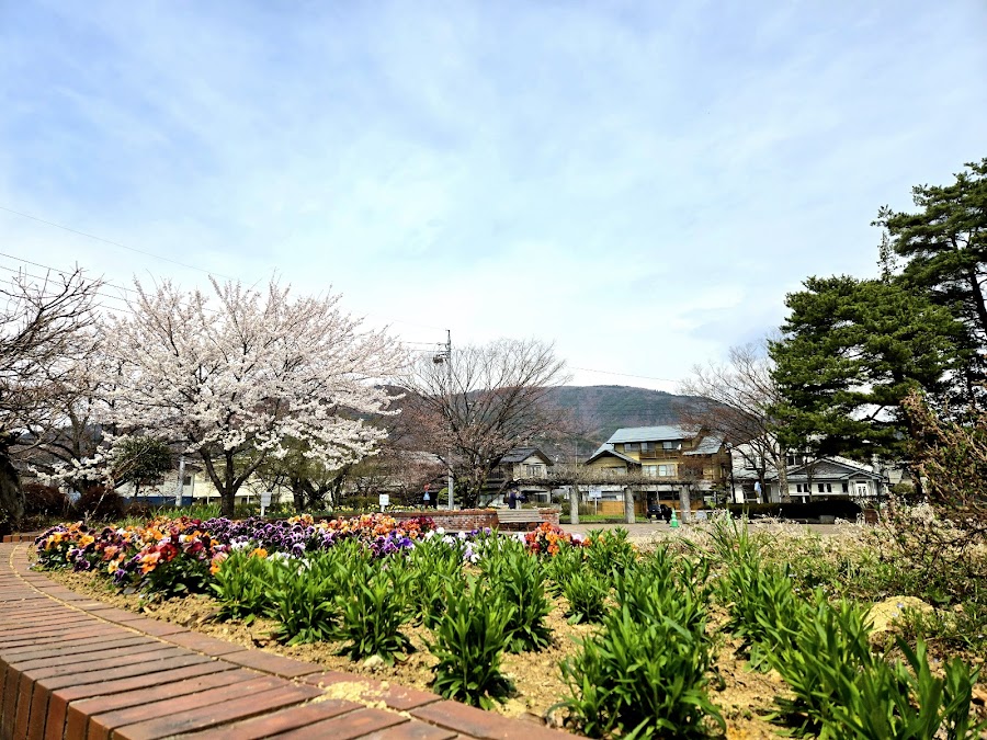 昭和の森公園の写真