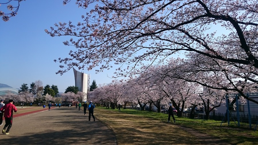 長野運動公園の写真