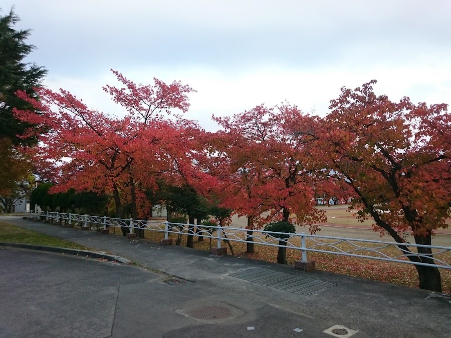 長野運動公園の写真