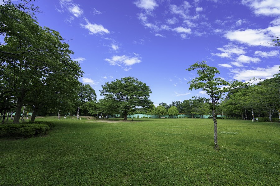 流山セントラルパーク（流山市総合運動公園）の写真