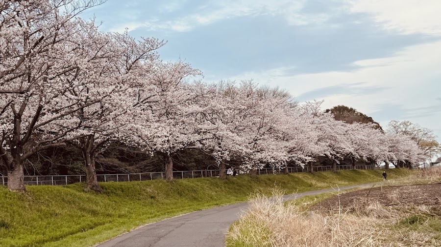 七里総合公園の写真