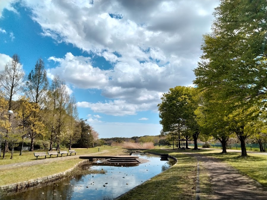 七里総合公園の写真
