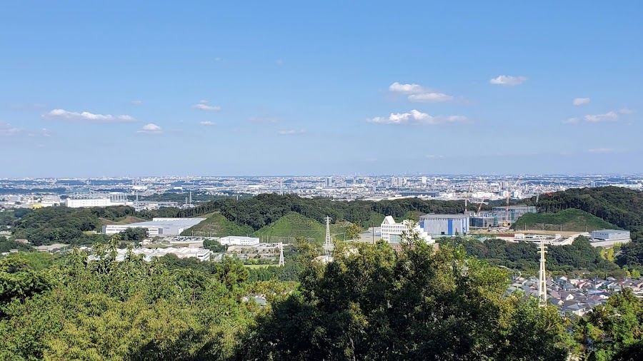 県立七沢森林公園の写真