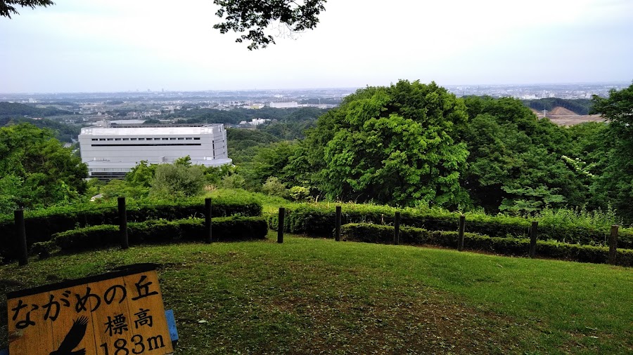 県立七沢森林公園の写真