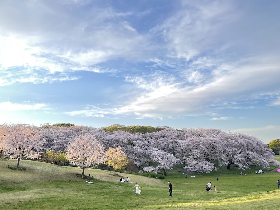 根岸森林公園の写真
