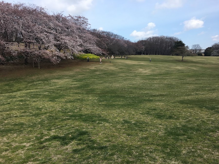 根岸森林公園の写真