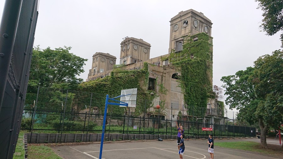 根岸森林公園の写真