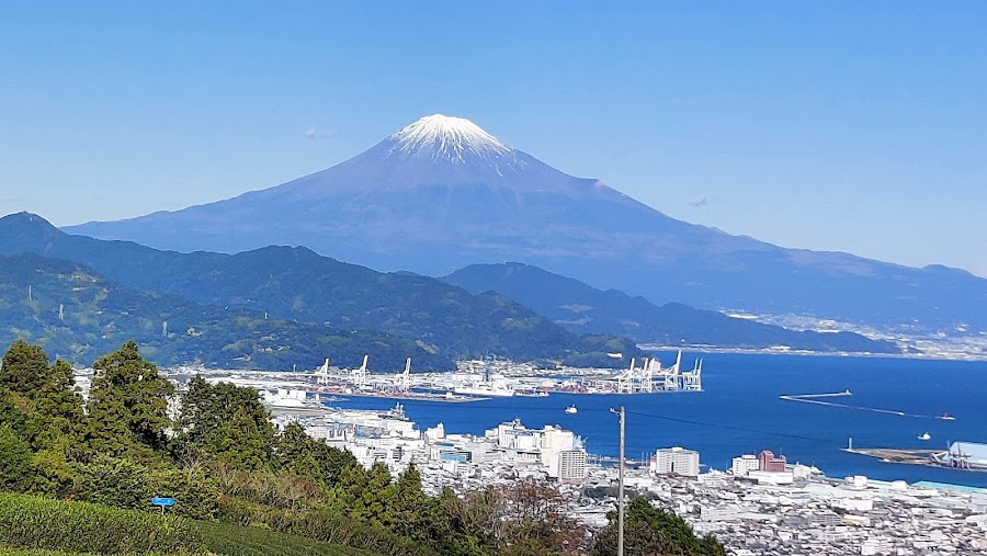 清水日本平運動公園の写真