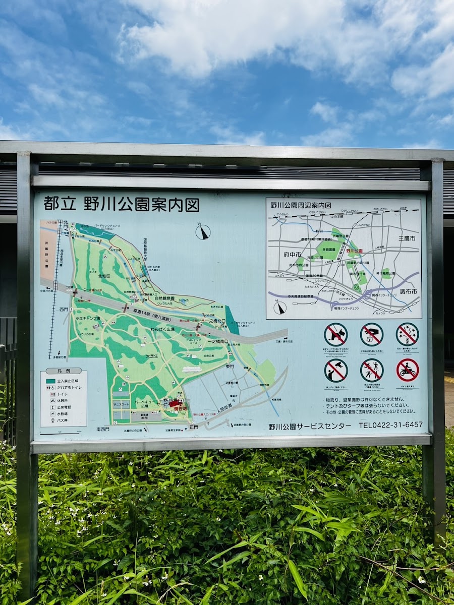 野川公園の写真