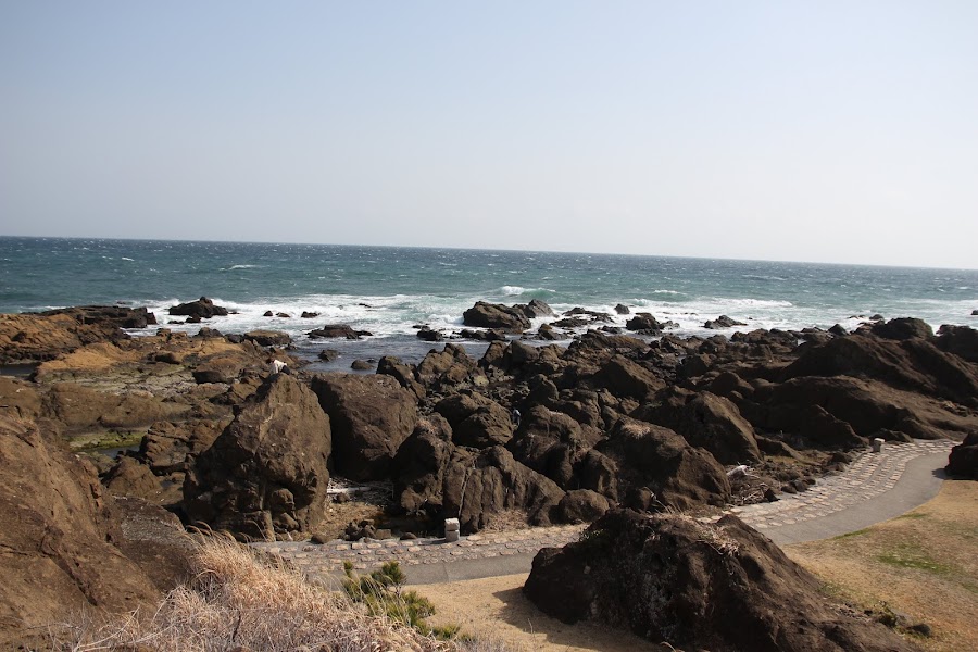 南房総国定公園 野島崎（野島崎園地）の写真