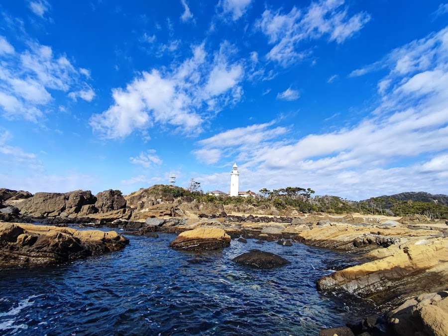南房総国定公園 野島崎（野島崎園地）の写真