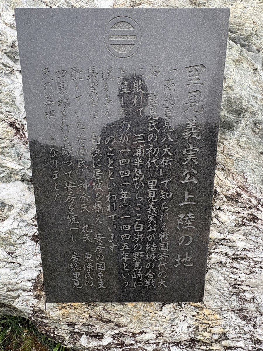 野島崎の写真