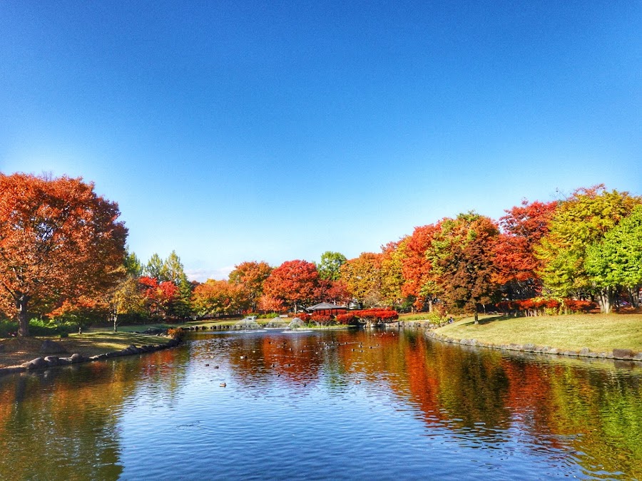 小布施総合公園の写真