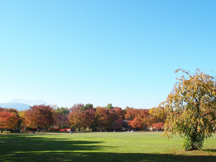 小布施総合公園の写真