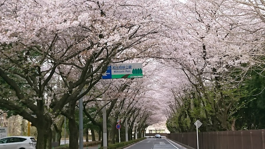 大泉中央公園の写真