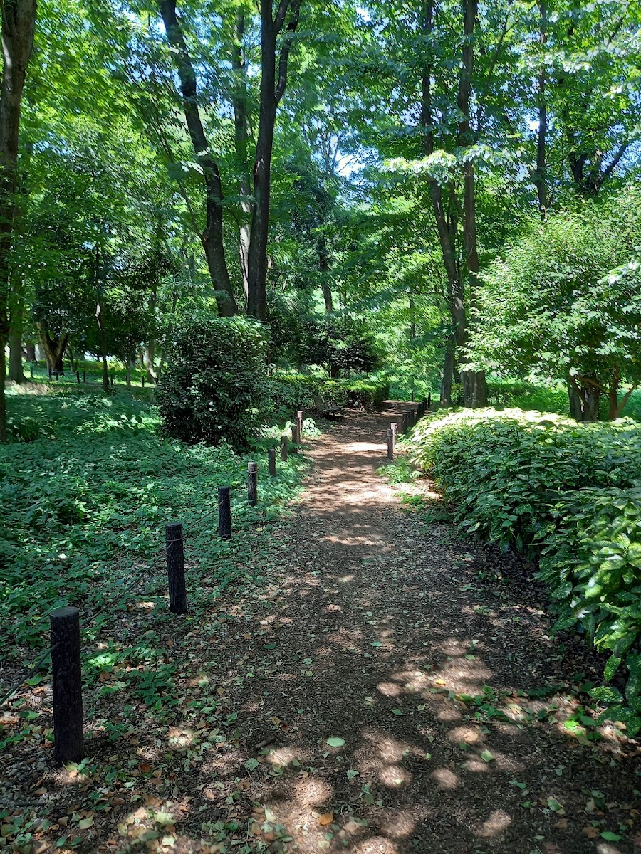 大泉中央公園の写真