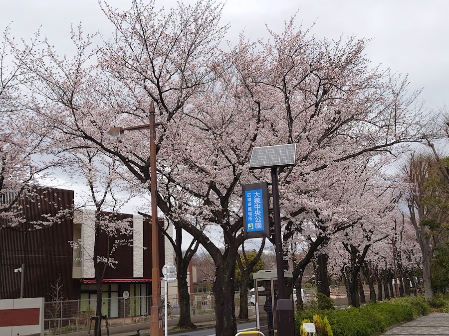 大泉中央公園の写真