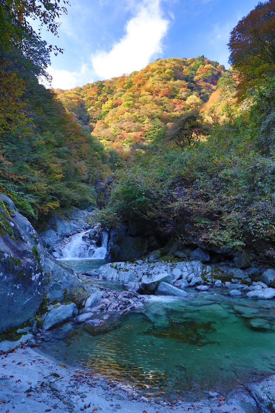 尾白川渓谷の写真