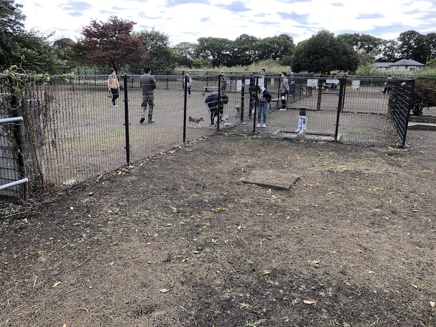 大間木ドッグラン（大間木公園）の写真