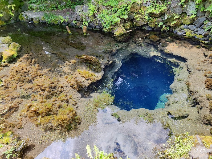 忍野八海の写真