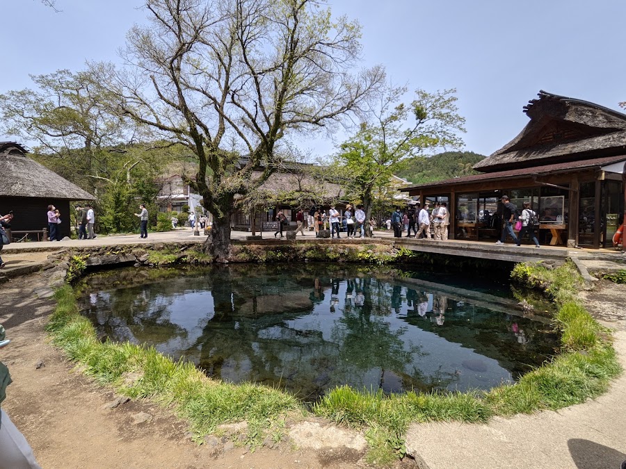 忍野八海 中池の写真
