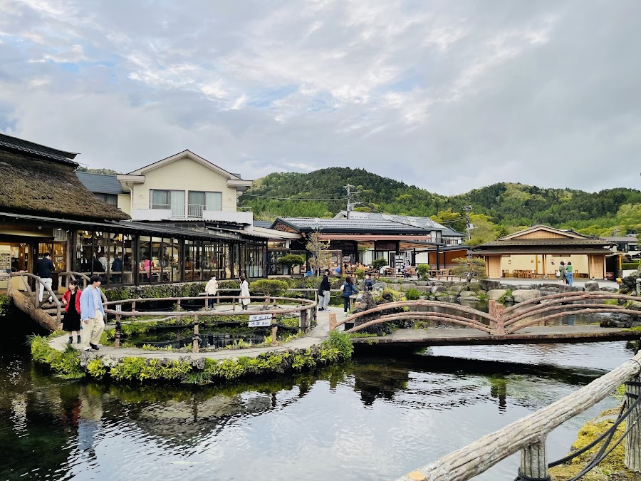 忍野八海 中池の写真