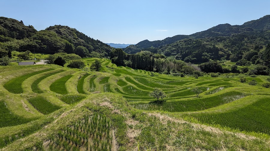 大山千枚田の写真
